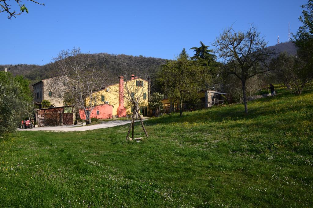 Agriturismo Podere Villa Alessi Cinto Euganeo Exterior foto
